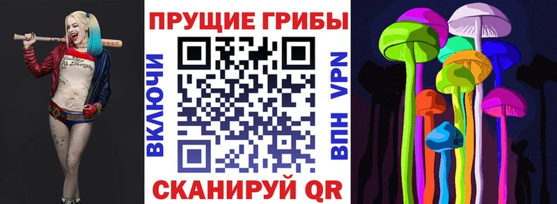 цены наркотик  mega зеркало  Псилоцибиновые грибы ЛСД  Медногорск 