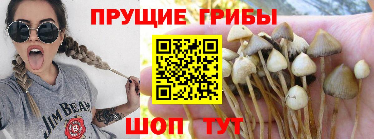 Псилоцибиновые грибы мухоморы Медногорск